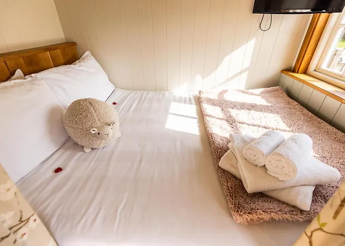 Cherry Blossom Hut Apartment Bristol