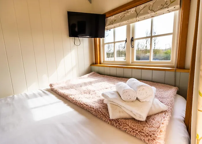 Cherry Blossom Hut * Bristol