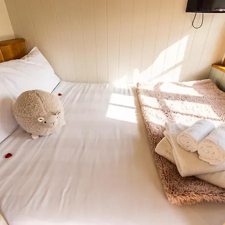 Cherry Blossom Hut Apartment Bristol